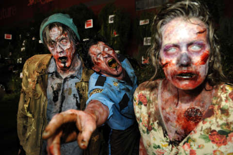 New book spills the ‘guts’ on TV sensation ‘The Walking Dead’