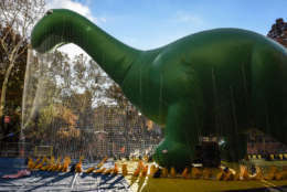 NEW YORK, NY - NOVEMBER 22: The Dino from Sinclair Oil balloon stands under protective netting near Central Park ahead of the Macy's Thanksgiving Day parade on November 22, 2017 in New York City. The annual Macy's Thanksgiving Day parade is the largest parade in the world dating back to 1924. (Photo by Stephanie Keith/Getty Images)