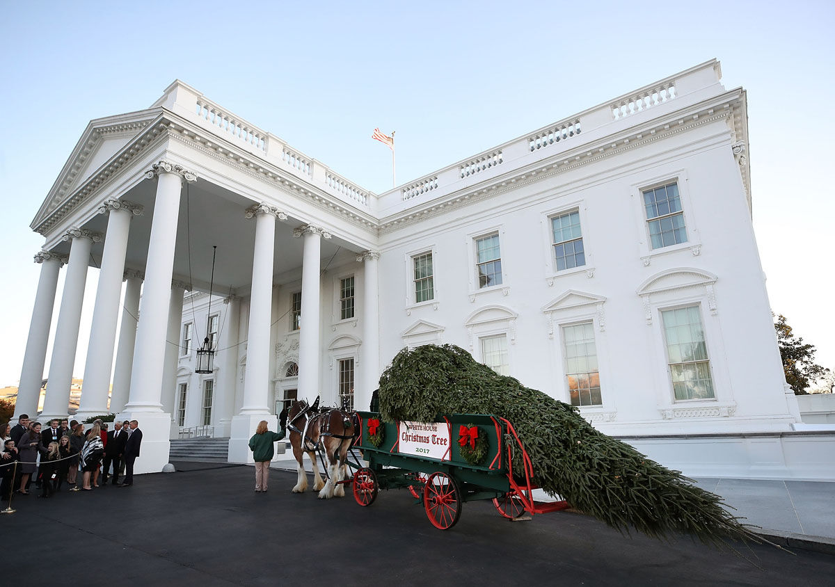 WASHINGTON, DC - NOVEMBER 20:  First lady Melania Trump and her son Barron welcomed a 19.5-foot balsam Fir that will serve as the official White House Christmas Tree at the White House on November 20, 2017. The tree is a Wisconsin grown Fir provided by the Chapman family of Silent Night Evergreens.  (Photo by Mark Wilson/Getty Images)
