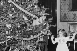 The Christmas tree in the White House Blue Room gets Caroline Kennedy's attention, Dec. 13, 1961 as she inspects it before a party for White House employees given by her parents.  In the background are her aunt, Jean Kennedy Smith and cousin Stephen Smith, Jr..  (AP Photo/Henry Burroughs)