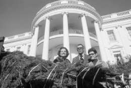 First lady Betty Ford poses outside the executive mansion on Friday, Dec. 6, 1974 in Washington, with the White House Christmas Tree. The tree was presented by Edward Cole of Mayville, Mich., and was cut from the front yard of Mrs. Ouina Gardner's home in Mayville. Cole and Mrs. Gardner made the joint presentation. (AP Photo/Bob Daugherty)