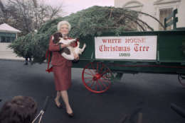 First Lady Barbara Bush holds Millie after the spaniel showed interest in the 18-foot Fraser Fir which arrived at the White House in Washington, Wednesday, Dec. 6, 1989. The tree, grown in Spartanburg, Pa., will be on display in the White House Blue Room for the Christmas season. (AP Photo/Doug Mills)