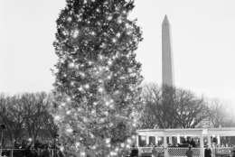 Starred with many lights is this national Christmas tree which was set a twinkling on the White House grounds at ceremonies in Washington on Dec. 24, 1940 in which F.D.R. shared. The President, standing in a platform at the right, touched a button lighting the tree and then broadcast his Christmas wishes to the nation. (AP Photo)