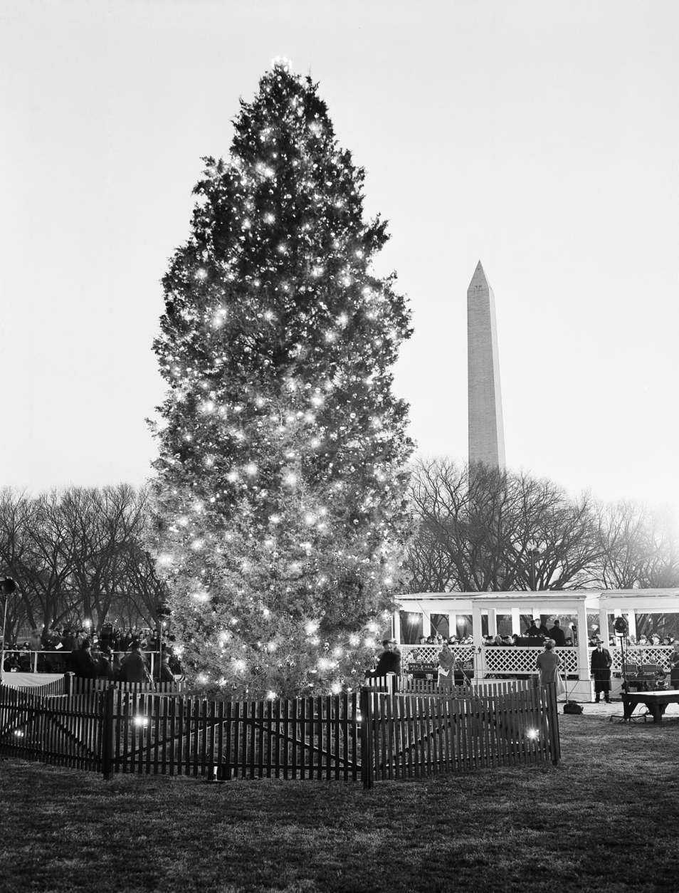 Starred with many lights is this national Christmas tree which was set a twinkling on the White House grounds at ceremonies in Washington on Dec. 24, 1940 in which F.D.R. shared. The President, standing in a platform at the right, touched a button lighting the tree and then broadcast his Christmas wishes to the nation. (AP Photo)