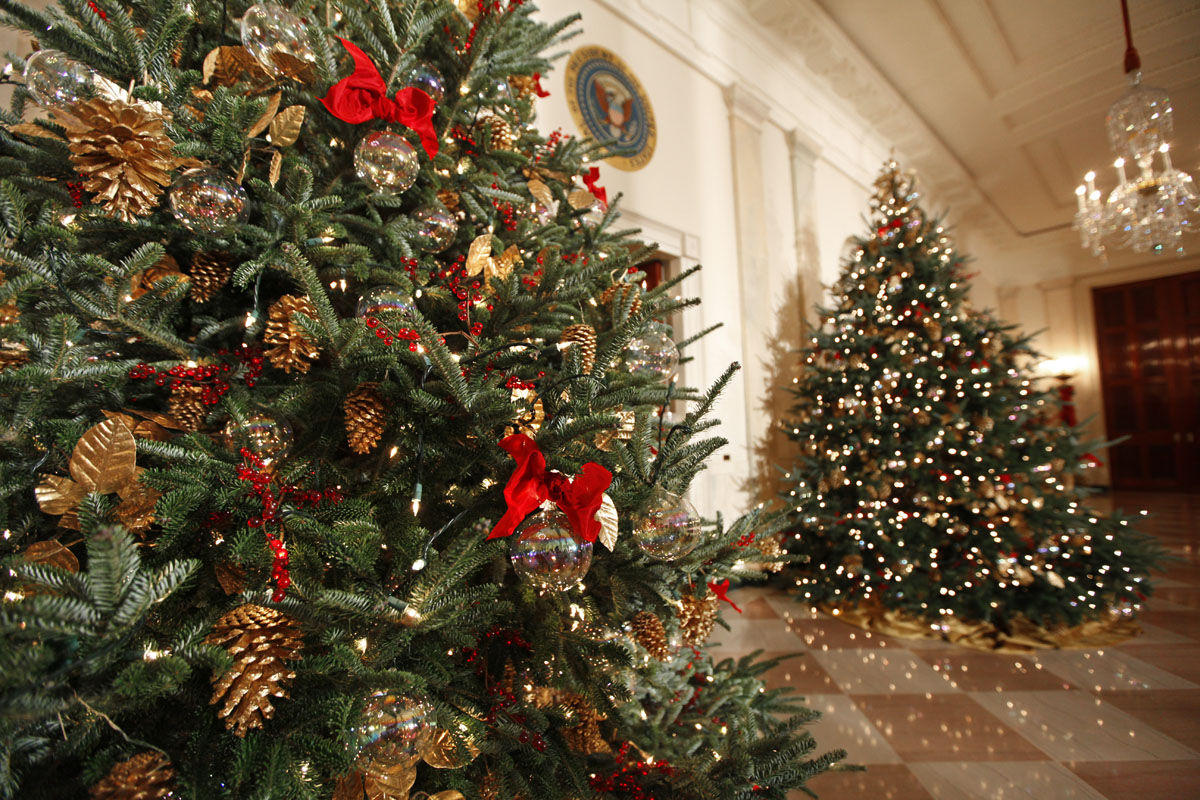 In htis photo taken Dec. 2, 2009, trees are decorated in the Cross Hall during the first Christmas of President Barack Obama and the first family at the White House in Washington.  This year's trees feature "recycled" ornaments from presidents past that were shipped all over the country to community groups, which redecorated them with scenes of local landmarks. It was part of what staff described as an effort by the Obamas to ensure a frugal and environmentally friendly holiday season. (AP Photo/J. Scott Applewhite)