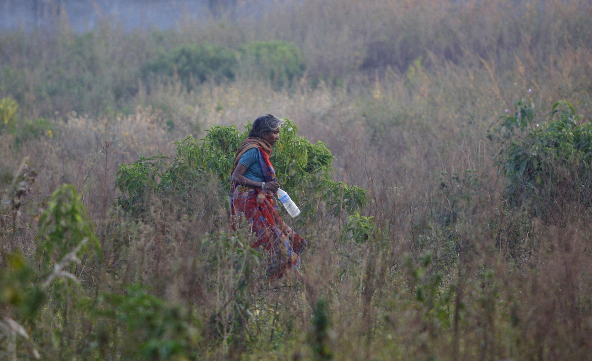 An Indian woman walks in a field after relieving herself in the open, on World Toilet Day on the outskirts of Jammu, India, Wednesday, Nov. 19, 2014. U.N. figures show of India's 1.2 billion people, 665 million, mostly those in the countryside, don't have access to a private toilet or latrine, something taken for granted in developed nations. Some villages have public bathrooms, but many women avoid using them because they are usually in a state of disrepair and because men often hang around and harass the women. (AP Photo/Channi Anand)