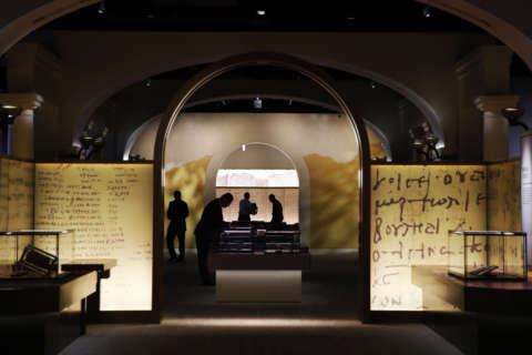 This Museum of the Bible curator takes care of some of the oldest artifacts in the world