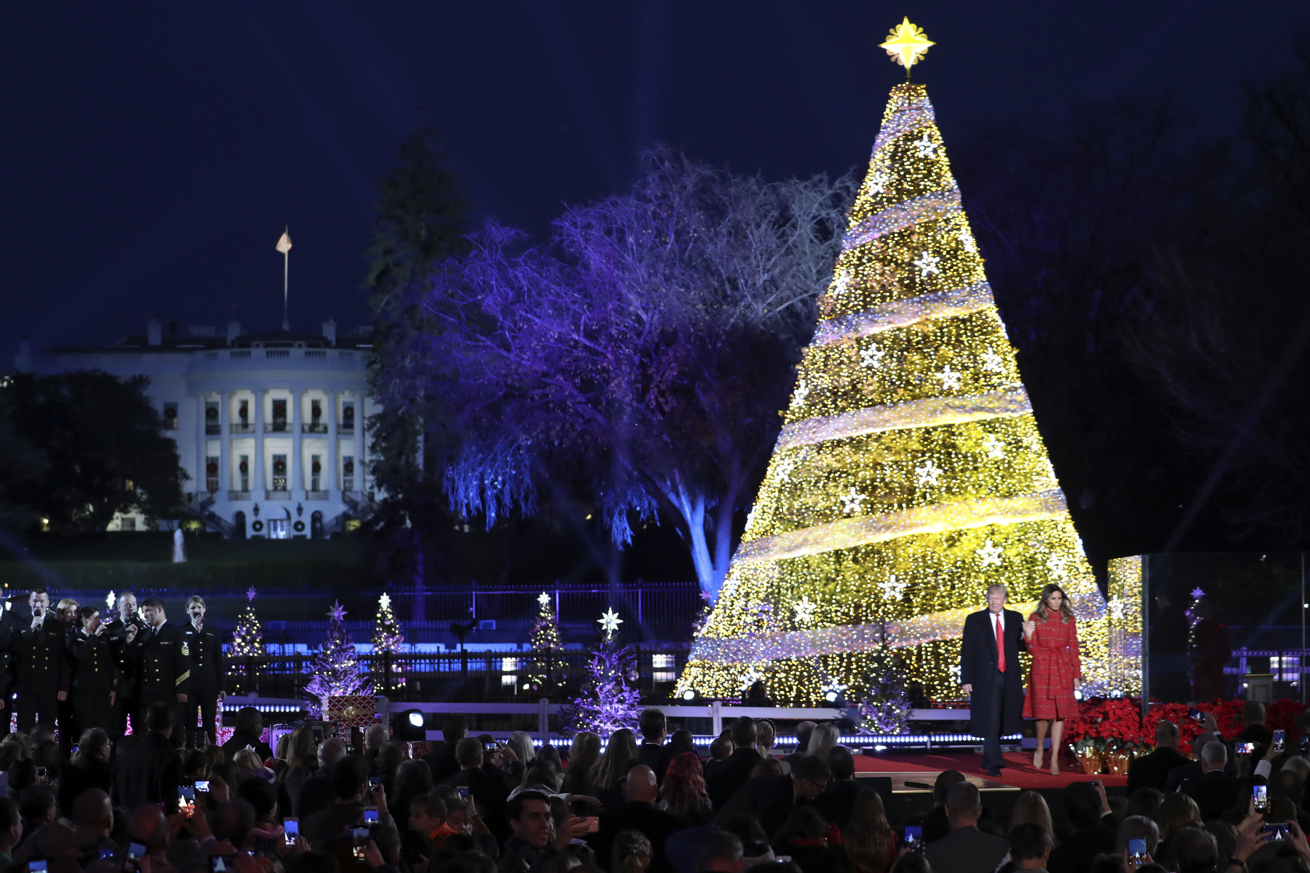 special christmas tree lights