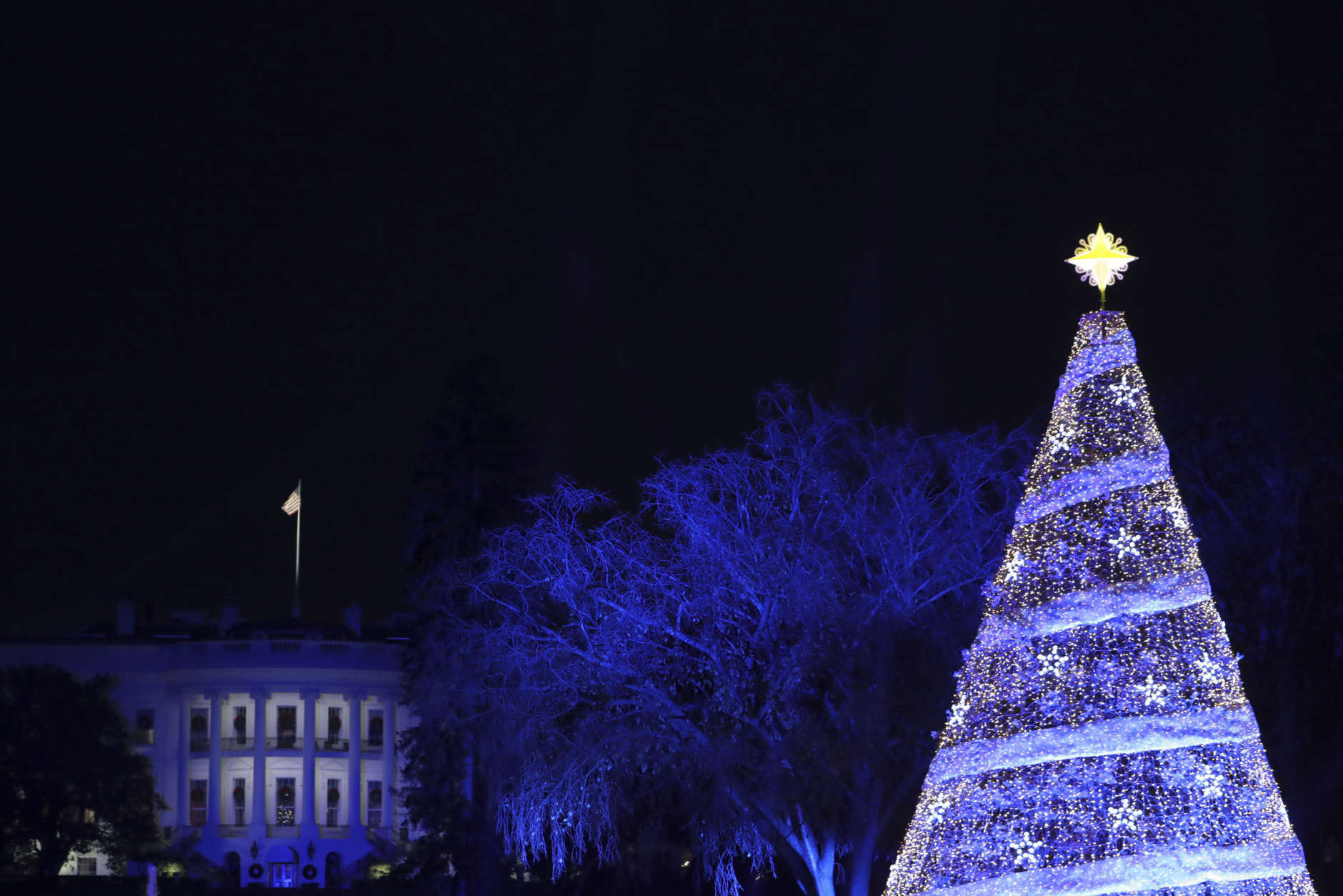 The 2017 National Christmas Tree is lit on the Ellipse with the White House in the background Thursday, Nov. 30, 2017, in Washington. (AP Photo/Andrew Harnik)