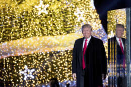 President Donald Trump stands on stage after lighting the 2017 National Christmas Tree on the Ellipse near the White House, Thursday, Nov. 30, 2017, in Washington. (AP Photo/Andrew Harnik)
