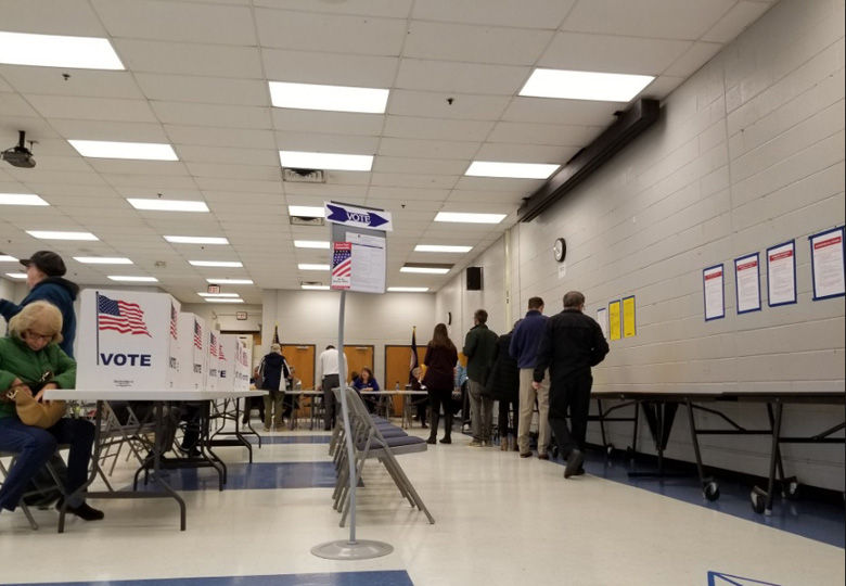 Voters seen lining up in Mason District's JEB Stuart High School. (WTOP/Hillary Howard)