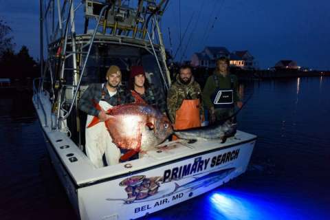Fishermen claim to have made rare catch off Ocean City coast