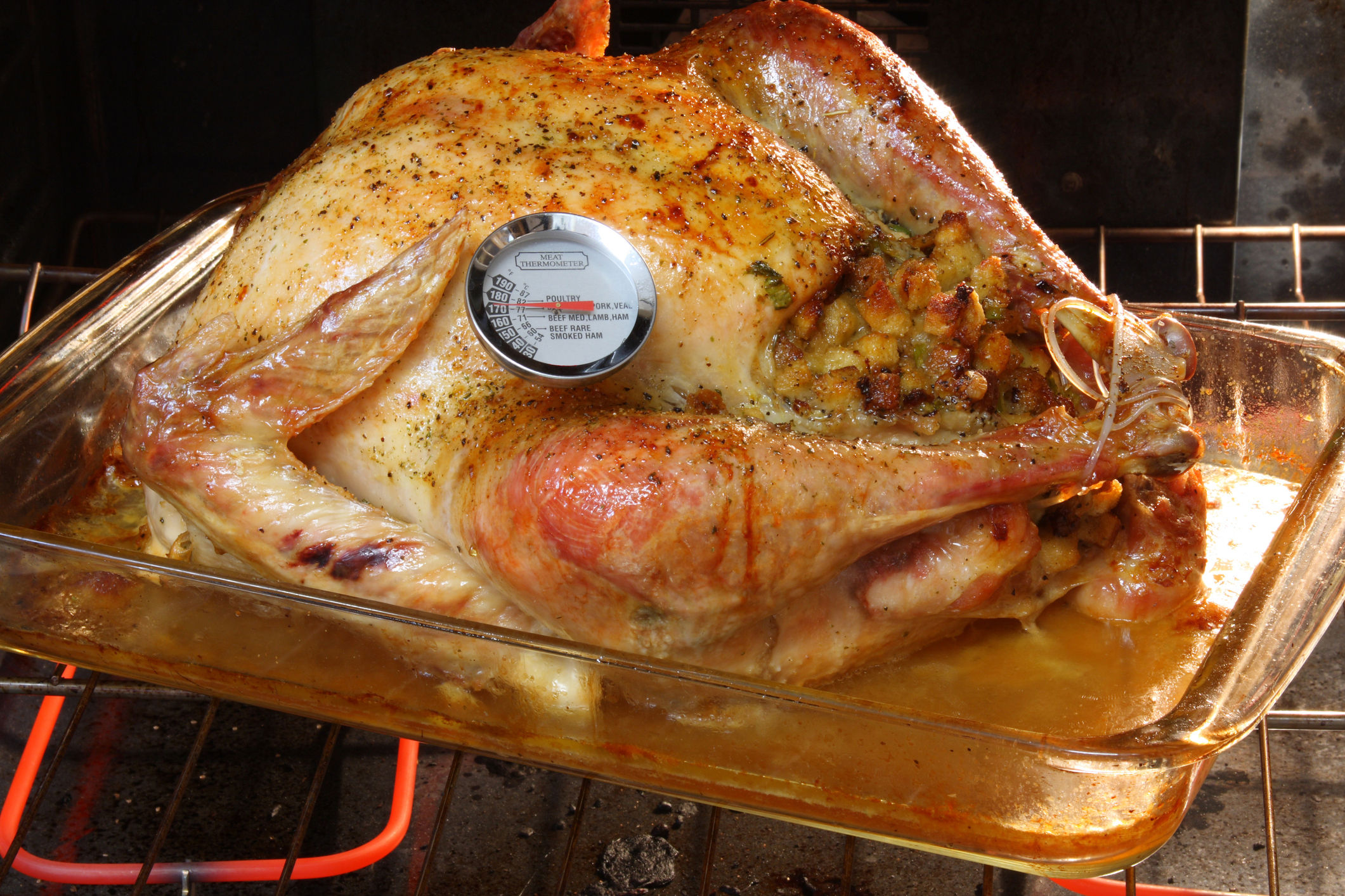 Where to Put Thermometer in Turkey? Thanksgiving Tips