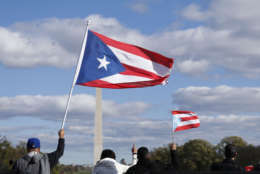 Marchers waved Puerto Rican flags during the March for Puerto Rico in Washington, D.C. on Sunday, Nov. 19. (WTOP/Kate Ryan)