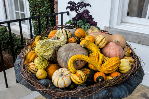 Gourds and Pumpkins in a Large Centerpiece