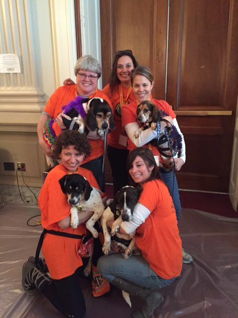 Volunteers with dogs at the 2016 PawCasso event. (Courtesy Homeward Trails)