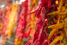 chili pepper in a stand of boqueria market