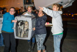 More than a 1,000 volunteers support the Lucky Dog mission and operations. (Courtesy Lucky Dog Animal Rescue)