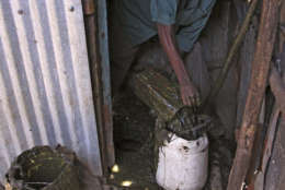 In the photo taken Sunday, July 17, 2011, in the Korogocho slums of Nairobi, Kenya as a worker tries to unclog a pit latrine, before loading a cart and dumping the effluent from slum pit latrines into a local water course. On Tuesday July 19, 2011, at the AfricaSan Conference in Kigali, Rwanda, the Bill &amp; Melinda Gates Foundation announced dlrs 42 million U.S.  in grants to encourage innovation in the capture, storage and re-purposing of waste as a potential energy resource.  About 1.5 million children are believed to die each year from disease contracted from bad sanitation and the Gates Foundation believes most of these deaths could be prevented with clean drinking water and improved hygiene.  (AP Photo/Khalil Senosi)