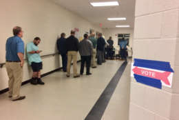 Picture shows people in line to vote
