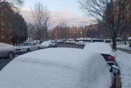 Vehicles sit with a covering of snow in northwest D.C. Sunday morning. (WTOP/William Vitka)