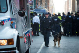  New York City Police Department officers and other first responders work the scene near the New York Port Authority Bus Terminal, December 11, 2017 in New York City. The Police Department said that one person was in custody for an attempted terror attack after an explosion in a passageway linking the Port Authority Bus Terminal with the subway. (Photo by Drew Angerer/Getty Images)