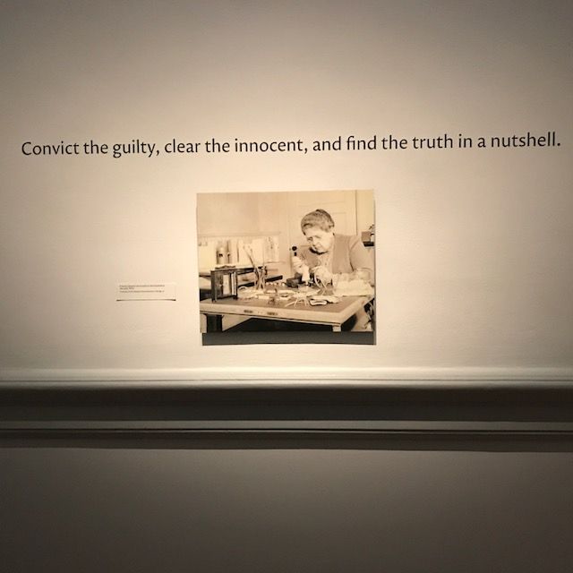 “Murder is Her Hobby: Frances Glessner Lee and The Nutshell Studies of Unexplained Death” is a temporary exhibit at the Renwick Gallery that showcases the intersection between crafts and forensic science via dollhouse dioramas of past crime scenes. (WTOP/Nahal Amouzadeh)