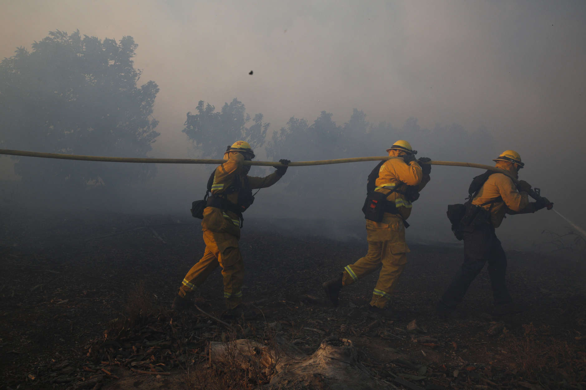 Firefighters put out a wildfire burning in an orchard Tuesday, Dec. 5, 2017, in Santa Paula, Calif. Raked by ferocious Santa Ana winds, explosive wildfires northwest of Los Angeles and in the city's foothills burned a psychiatric hospital and scores of homes and other structures Tuesday and forced the evacuation of tens of thousands of people. (AP Photo/Jae C. Hong)
