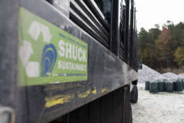 An Oyster Recovery Partnership sticker promoting sustainable oyster consumption practices on the Shell Recycling Alliance’s truck, Nov. 9, 2017, at the group’s shell pile in Grasonville, Md. Witzke and his colleagues recycle shell to bolster state and federally sponsored, large-scale oyster restoration in Chesapeake Bay tributaries. (Alex Mann/Capital News Service)