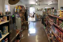 A deer is seen inside a store.