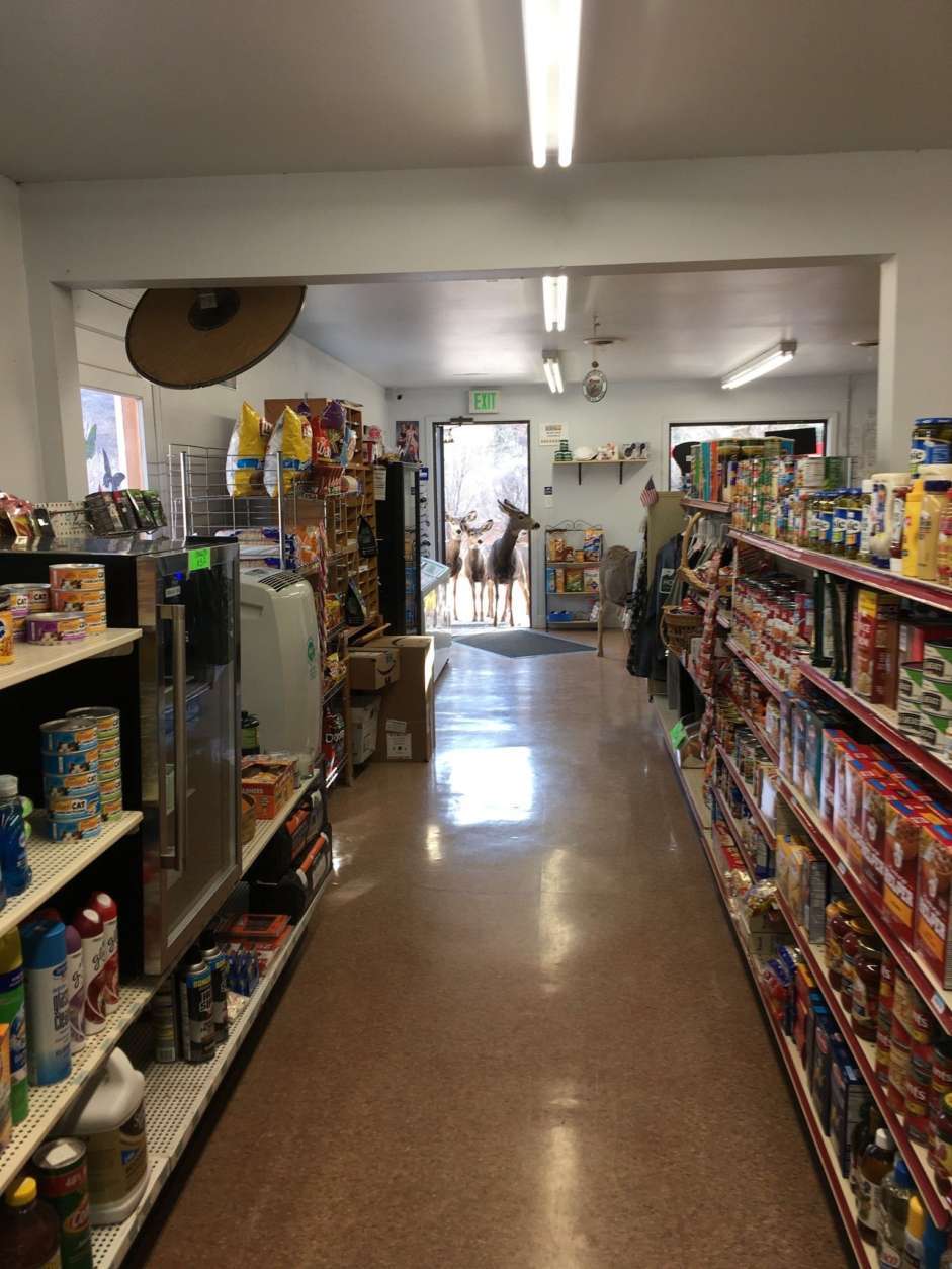 A deer is seen inside a store.