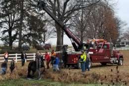 Emergency crews rescued a horse from a quicksand-like stream in Washington County, Maryland. (Courtesy Washington County Maryland Fire Calls)