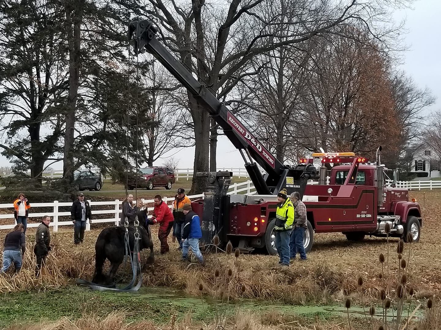 Emergency crews rescued a horse from a quicksand-like stream in Washington County, Maryland. (Courtesy Washington County Maryland Fire Calls)