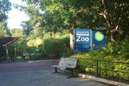 Smithsonian's National Zoo wants to increase its security. (WTOP/Dennis Foley)