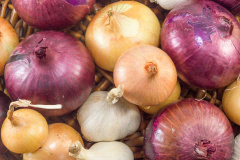 How one cookbook author shined a spotlight on the unassuming onion