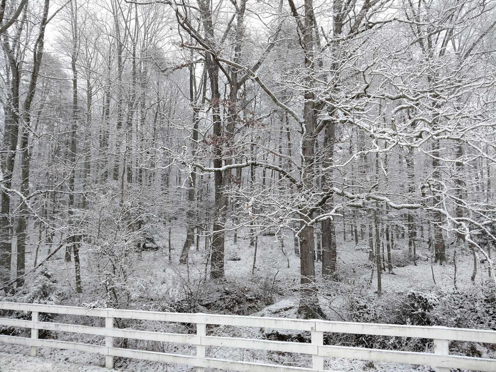 A snow scene in Amissville, Virginia. (Courtesy David Faux)