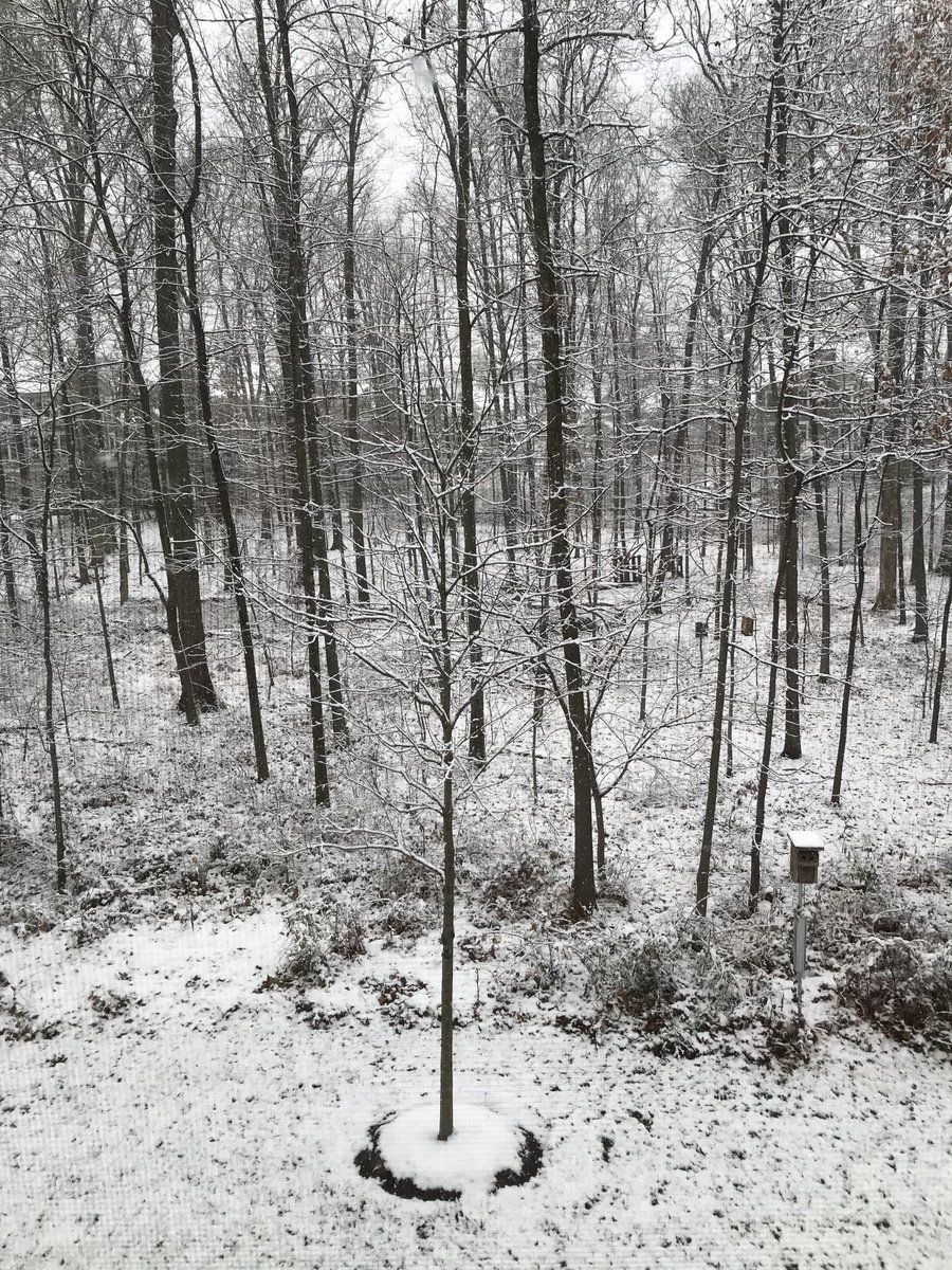 Twitter user Bryan Steverson (@bstevers) tweeted a photo of the snow in Aldie, Virginia. (Courtesy Bryan Steverson/Twitter @bstevers)