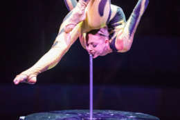 Tickets range from $27.50 to $109. (Courtesy Big Apple Circus)