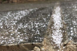 Graupel, also known as snow pellets, litter the street near the Glass Enclosed Nerve Center in Northwest D.C. on Friday, Dec. 15, 2017.  Graupel is snow coated in supercooled liquid. This precipitation typically forms when the lower atmosphere is unstable. (WTOP/Kate Ryan)