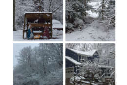 A listener sent us four photos from Amissville, Virginia. (Courtesy Patty) 