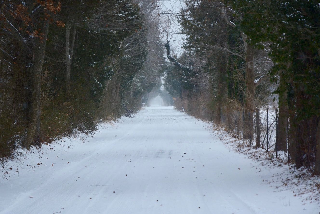 Whitehall Road near US-50 in Anne Arundel County is picturesque with its light covering of snow. (WTOP/Dave Dildine)