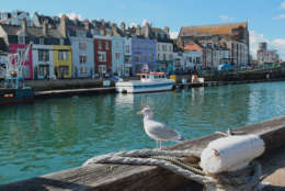 Custom House Quay at Weymouth Harbour.