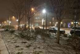 Snow falls outside the Glass-Enclosed Nerve Center in Northwest D.C. (WTOP/William Vitka)