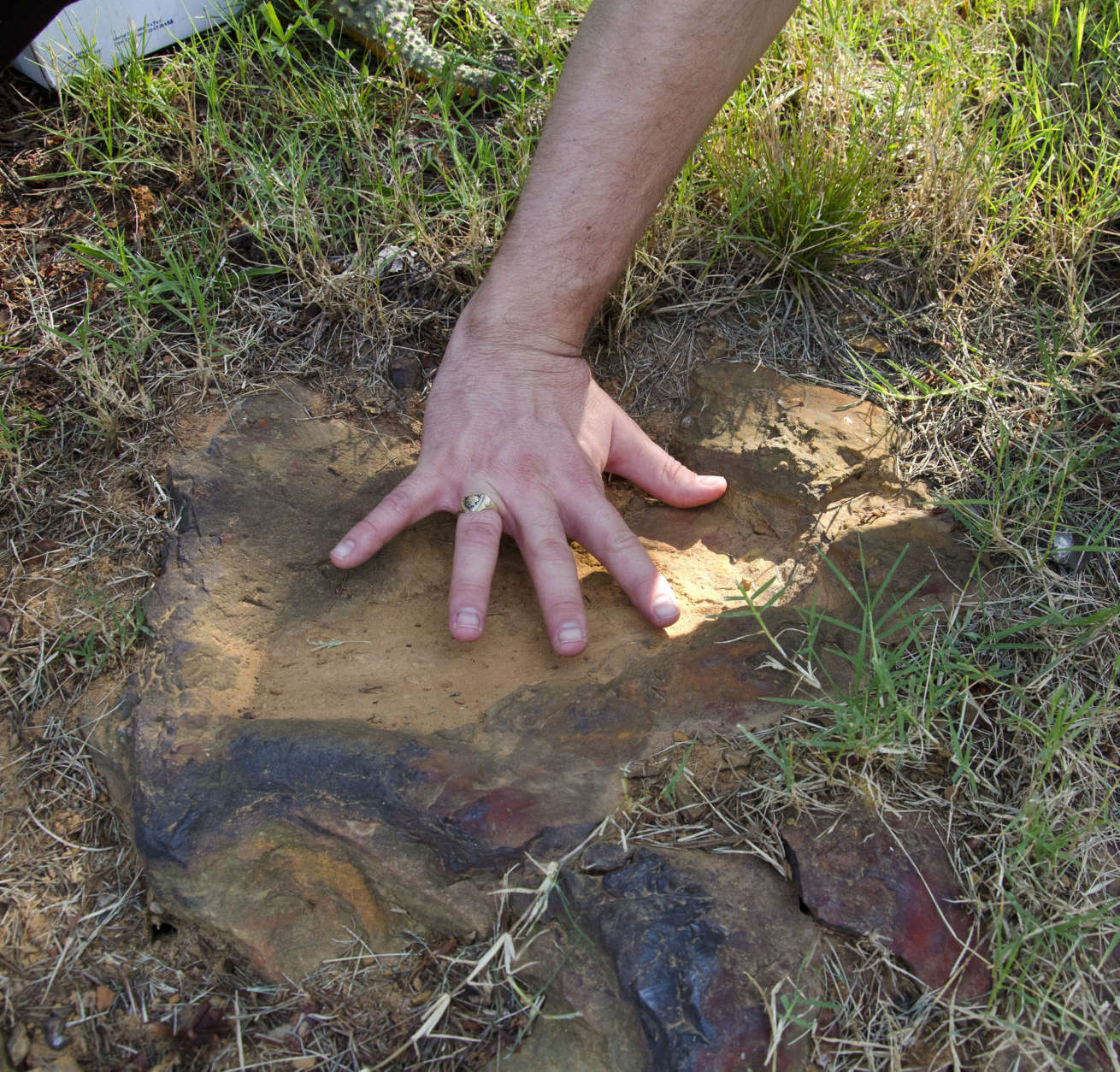 Local dinosaur hunter Ray Stanford points out the impression.
 (NASA/Goddard/Rebecca Roth)