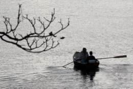 As the last few leaves cling to a tree branch, a couple takes a sunset row along the Mystic River Wednesday, Oct. 13, 2010, in Mystic, Conn. (AP Photo/Ross D. Franklin)