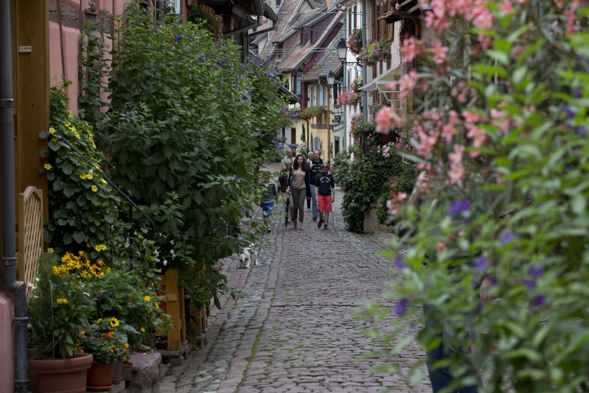 People take a stroll in the village of Eguisheim in France's north-eastern Alsace region where the ninth stage of the Tour de France cycling race over 170 kilometers (105.6 miles) with start in Gerardmer and finish in Mulhouse will take place Sunday, July 13, 2014. Eguisheim was voted Favorite French village of the year 2013. (AP Photo/Peter Dejong)