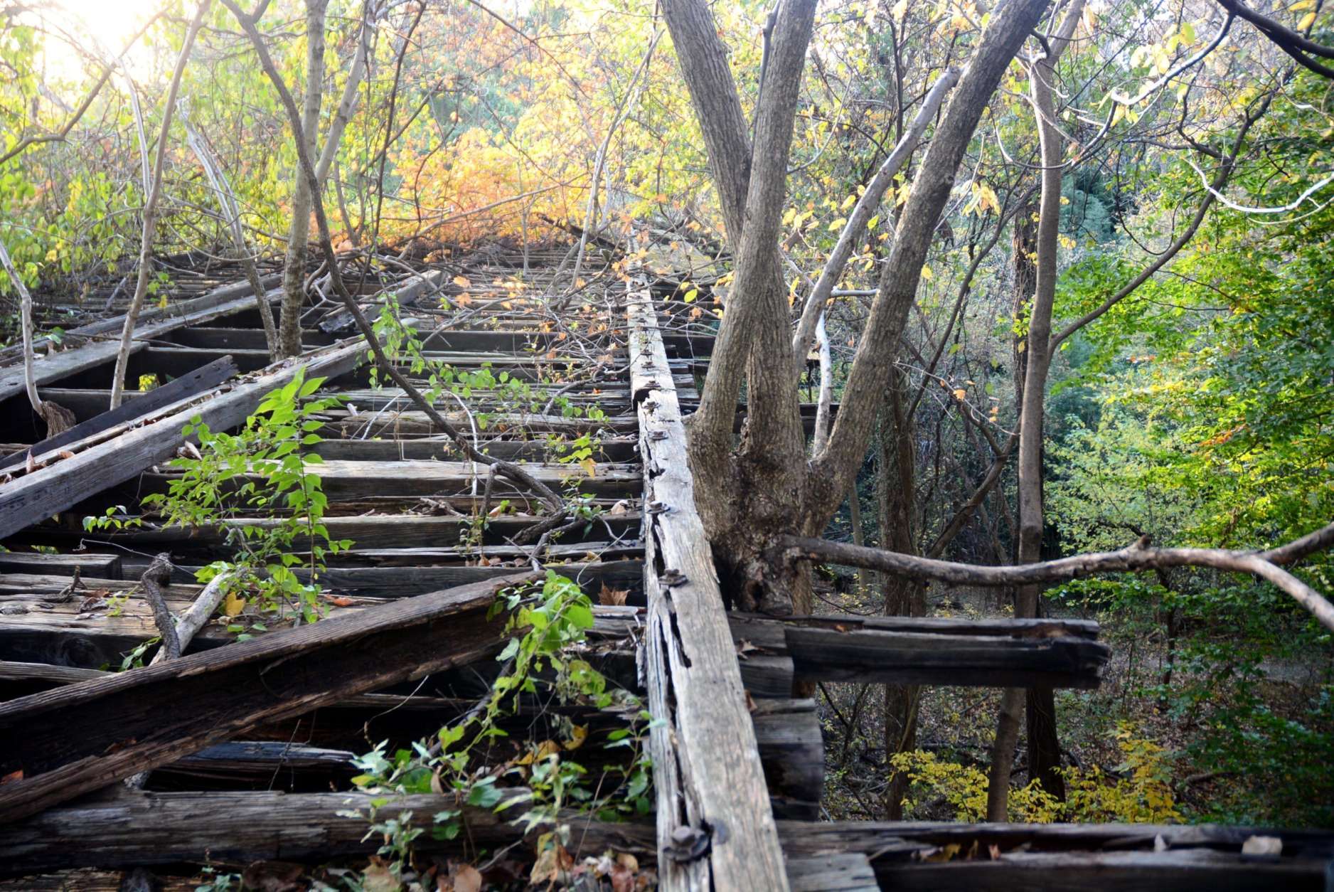 The Foundry Branch Trolley Trestle runs over Glover-Archbold Park in Northwest, near Georgetown University. (WTOP/Dave Dildine)