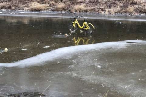 DC deputy mayor: Don’t park dockless bikes on frozen canal