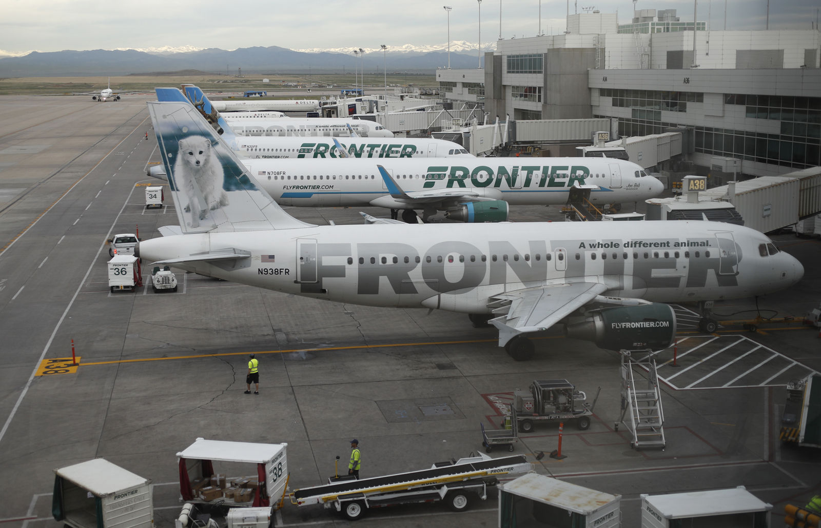 Frontier Airlines came in fifth. The airline came in fifth in on-time arrivals, but had ranked No. 1 in cancelled flights and mishandled baggage. File. (AP Photo/David Zalubowski)