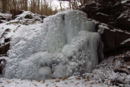 A frozen Cascade Falls in Patapsco Valley State Park near Ellicott City, Maryland on Jan. 4. (Courtesy Carl Wright)